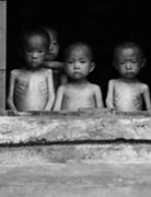 Image result for North Korea Starvation
