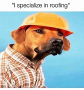 Image result for Roof Dog Meme