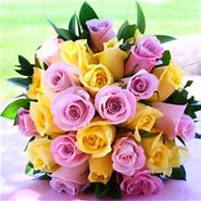 Image result for Light Yellow with Pink Rose