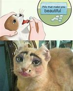 Image result for Funny Meme Attractive