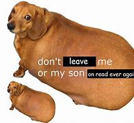 Image result for Don't Leave Me Funny