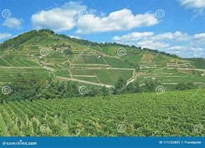 Image result for Wuerttemberg Wine Region Germany
