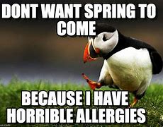 Image result for Funny Spring Pictures