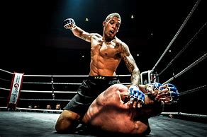 Image result for Mixed Martial Arts