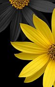 Image result for Cool Black Wallpapers iPhone