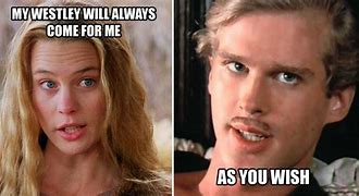 Image result for Princess Bride as You Wish Meme