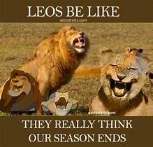 Image result for Leo Love Meme