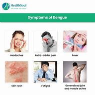 Image result for Dengue Fever Symptoms
