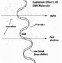 Image result for Radon Decay Chain