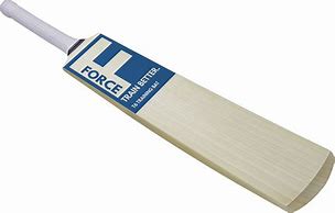 Image result for White Cricket Bat