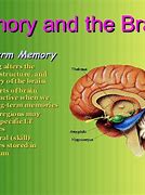 Image result for 4 Legs of Primary Memory
