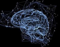 Image result for Brain Memory Storage