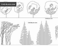 Image result for Climbers Tree CAD Block