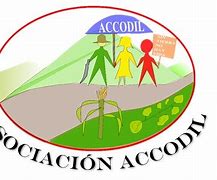 Image result for acodil