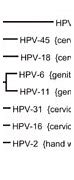 Image result for Female HPV Genital Warts