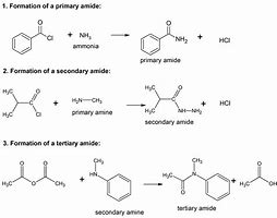 Image result for amide