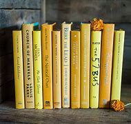 Image result for Book Accessories