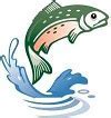 Image result for HDR Fish Wallpaper