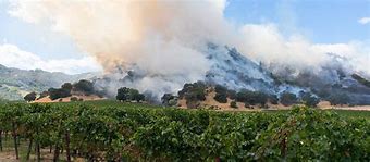 Image result for Fires in Napa Valley