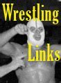 Image result for Wrestling Stance Poster