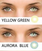Image result for Cosmetic Contact Lenses