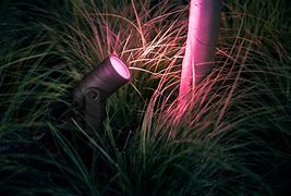 Image result for Philips Hue Lily