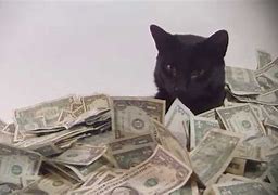 Image result for Money Cat Meme