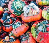 Image result for Different Types of Squash