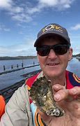 Image result for Handys Oysters