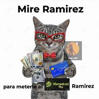 Image result for Ramirez Cat Meme