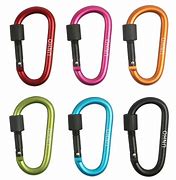 Image result for Large Carabiner Clips