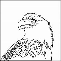 Image result for Eagle Drawing Outline