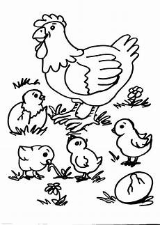 animali da cortile da colorare disegni animali da colorare gallina gallo pulcino disegno animali da cortile da colorare disegni animali da colorare gallina gallo pulcino disegno