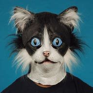 Image result for Black Cat Mask