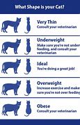 Image result for Cat Weight Loss Chart