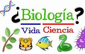 Image result for Que ES Biologia