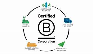 Image result for Examples of B Corporations