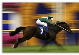 Image result for Horse Racing Wallpaper