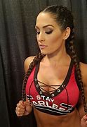 Image result for WWE Nikki Bella Hair