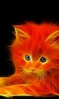 Image result for Trippy Kitten Wallpaper