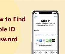 Image result for How to Find Apple ID Password