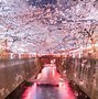 Image result for Best Place to See Cherry Blossoms in Japan