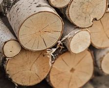 Image result for Apple Wood Logs