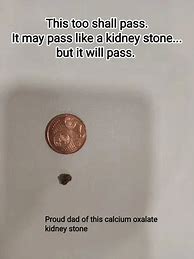 Image result for Confused Kidney Meme