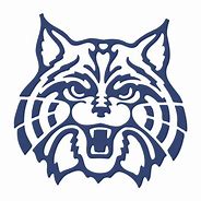 Image result for University Arizona Wildcats Logo