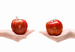 Image result for One to One Apple