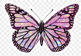 Image result for Holographic Butterfly