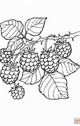 Image result for Atum and BlackBerry to Color