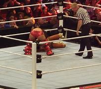 Image result for Nikki Bella WWE Outfits