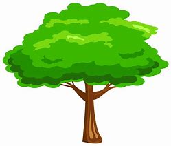 Image result for Cartoon Tree Transparent Background